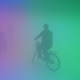 Illustration for article titled Alternative Fog Reality Confuses and Puzzles